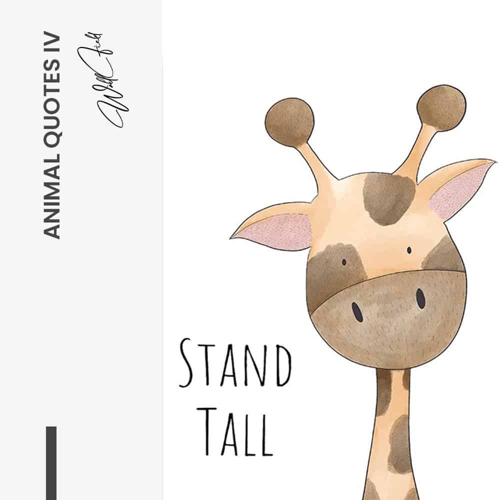 Animals Quotes IV - Muurcirkel Dibond