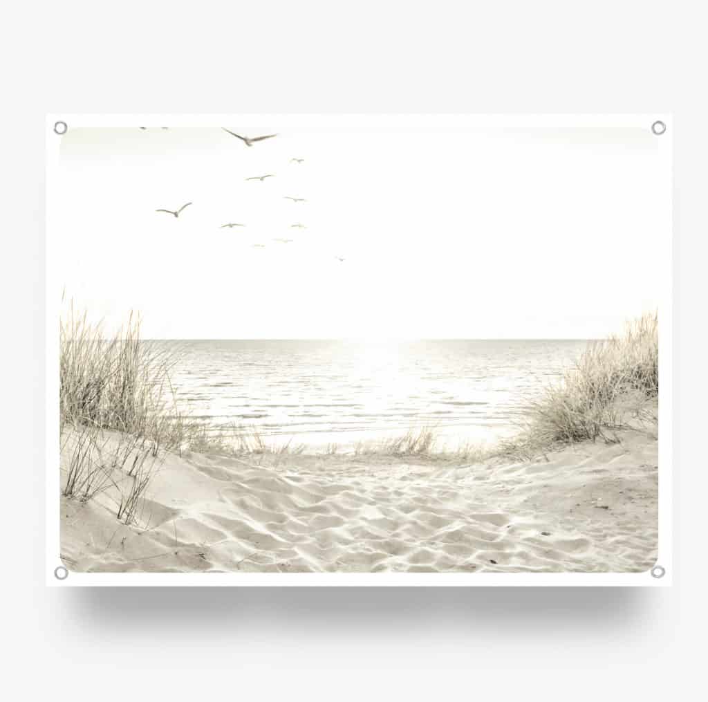 Beach.jpg