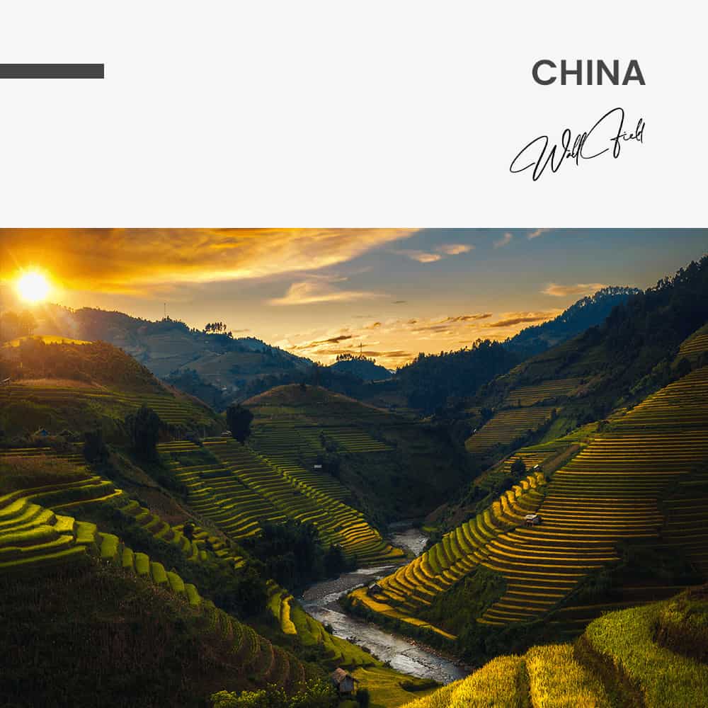 China - Muurcirkel Dibond