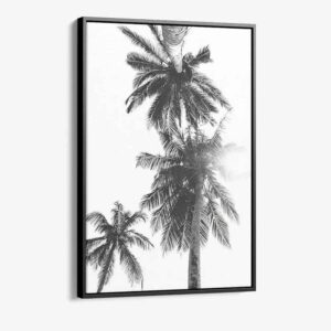 “Palm top”