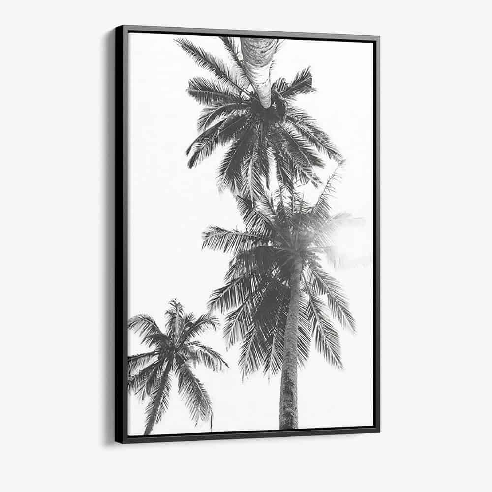 “Palm top”