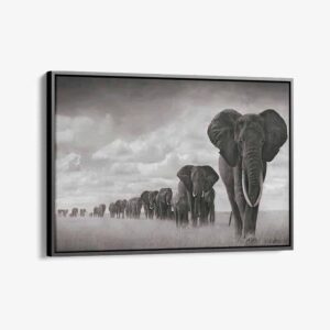 “Elephant family”