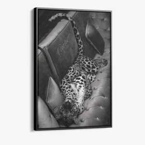 “Luxury Jaguar”