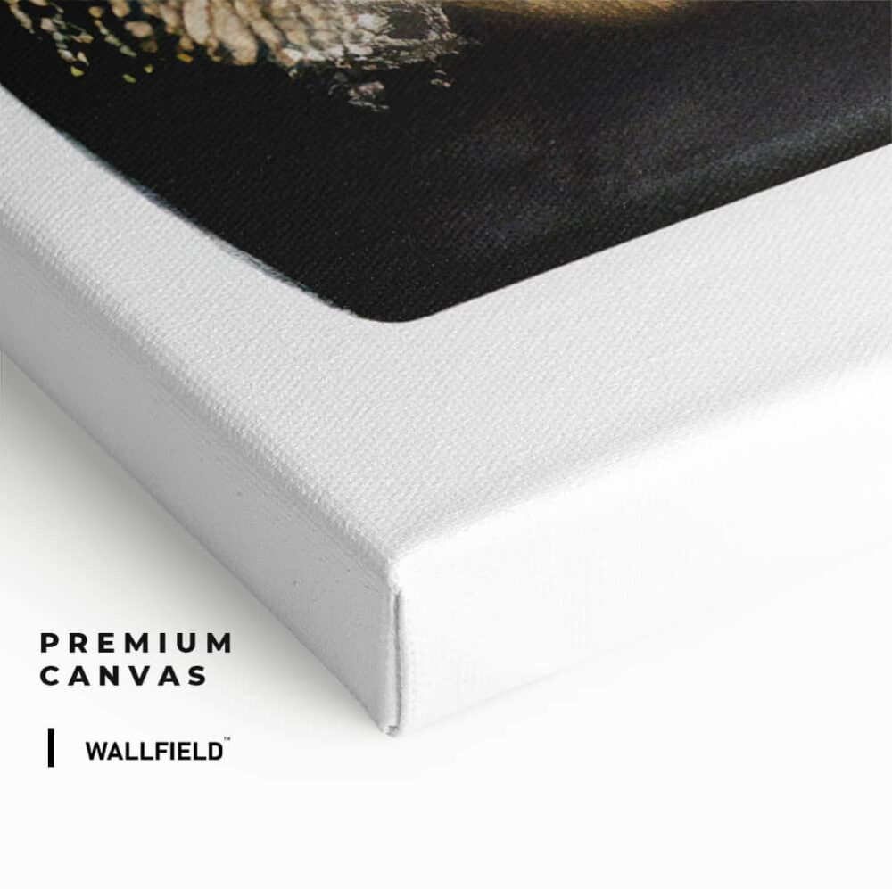 “Fashion Books”