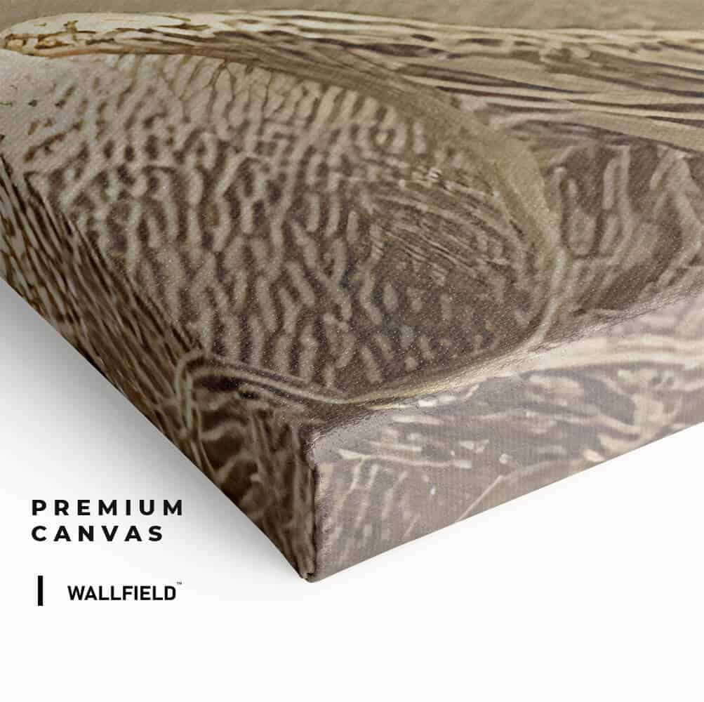 “Messi and Ronaldo”