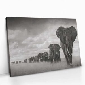 “Elephant family”