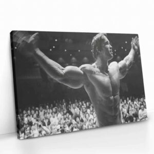 “Arnold Schwarzenegger”