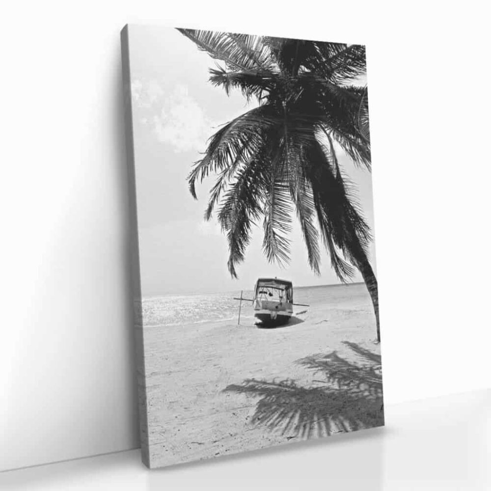 “Beachy Palm”