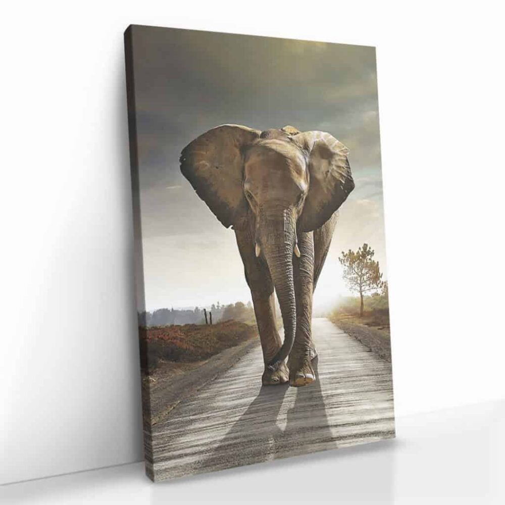 “Elephant on the Road”