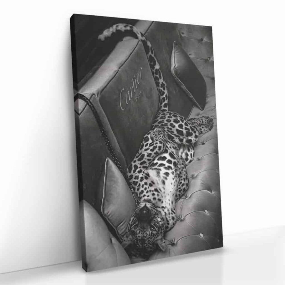 “Luxury Jaguar”