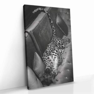 “Luxury Jaguar”