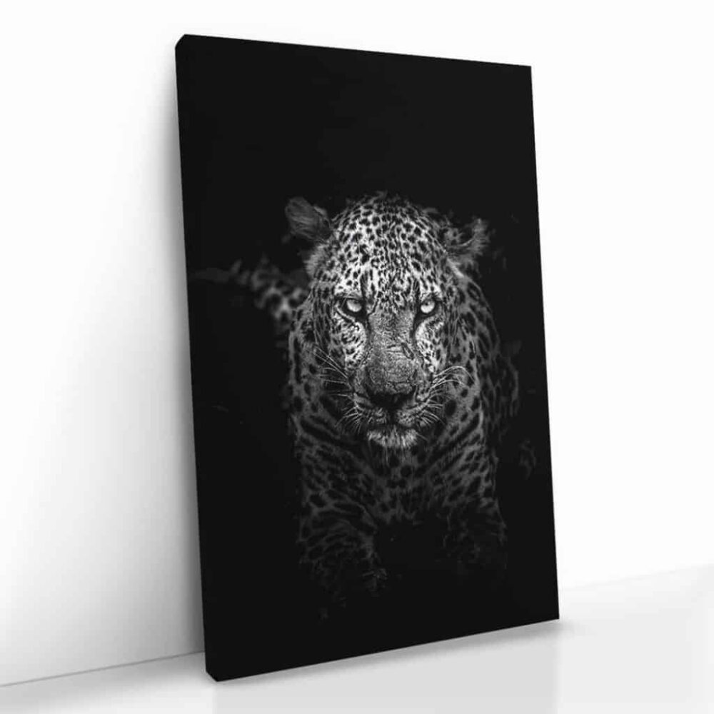 “Tiger Black”