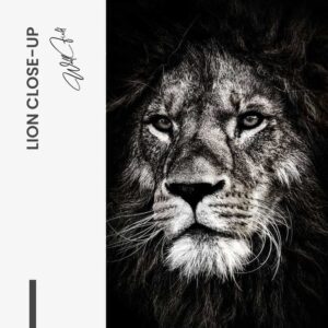 Design-signature-tiny (3)