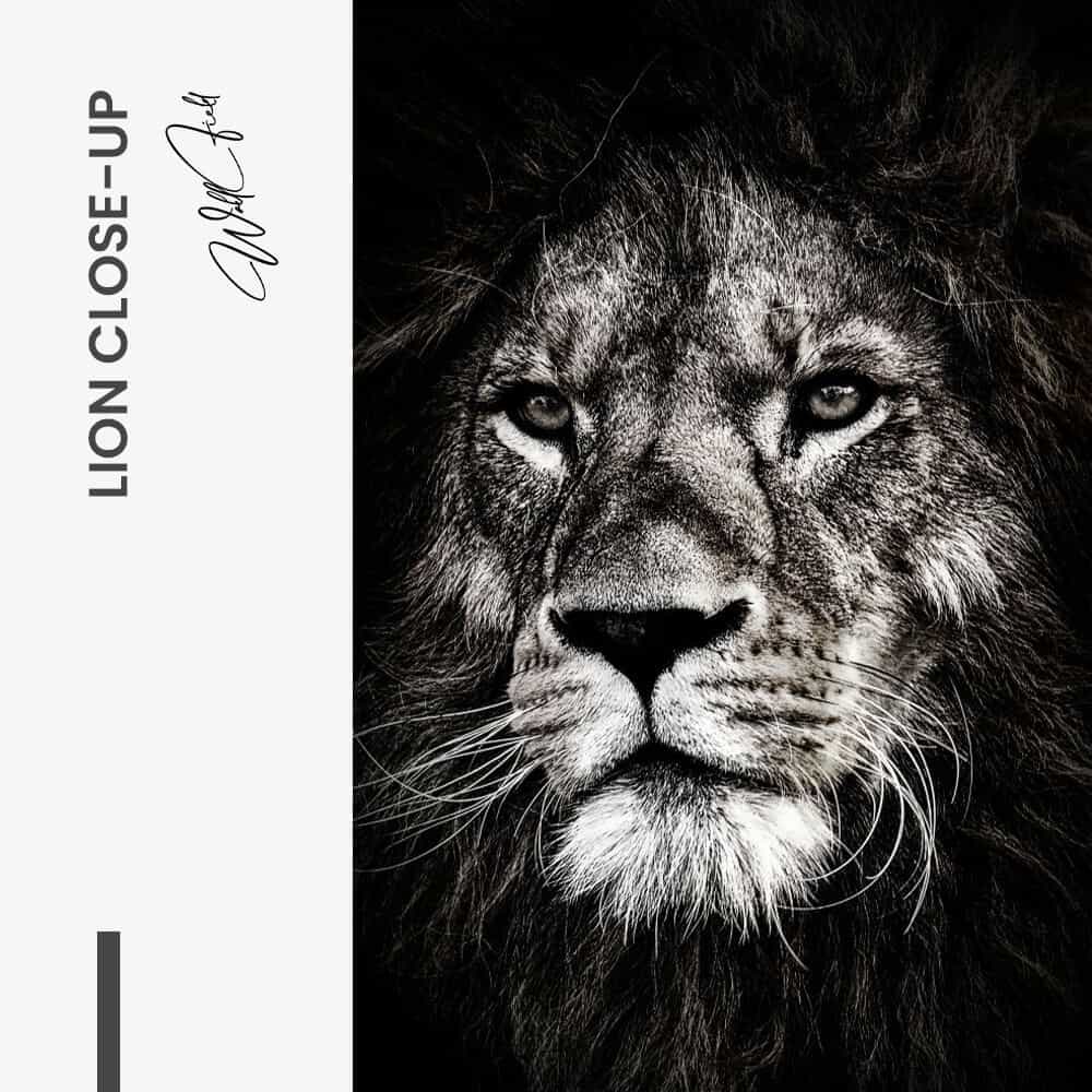 Design-signature-tiny (3)