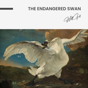 “The Endangered Swan”