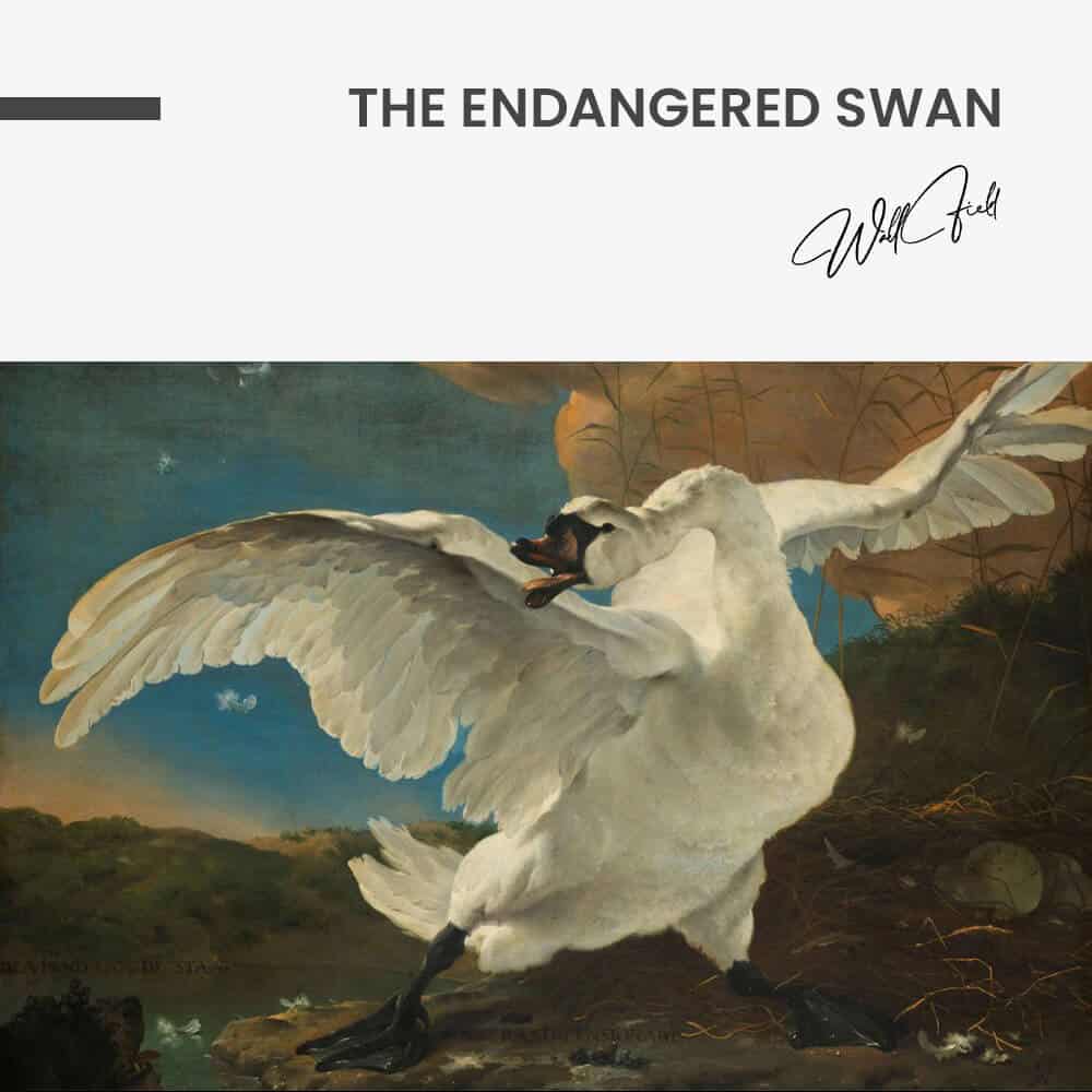 The Endangered Swan – Glass