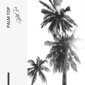“Palm top”