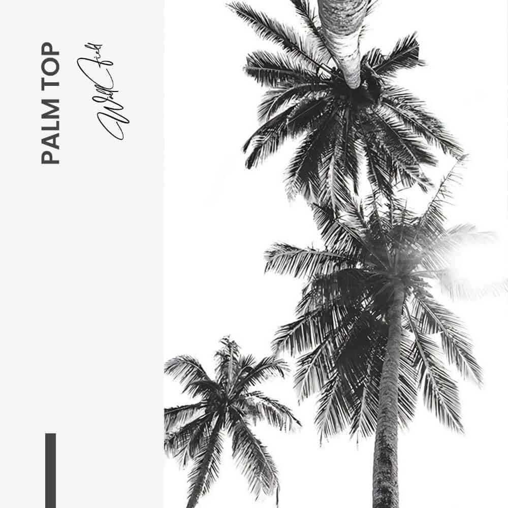 “Palm top”