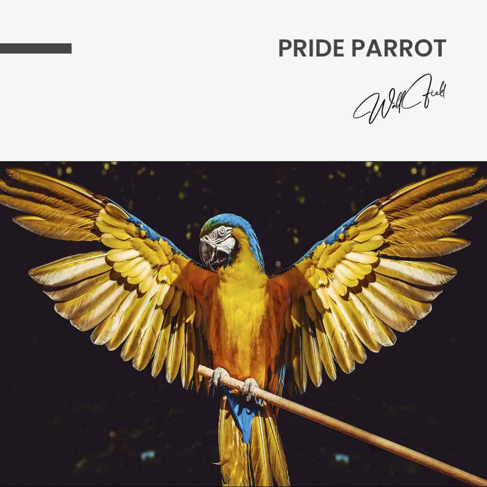 Pride Parrot - Glass
