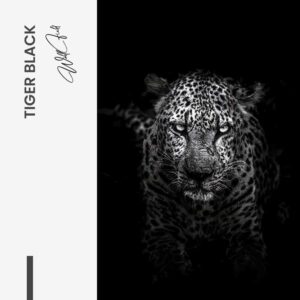 Tiger Black - Glass