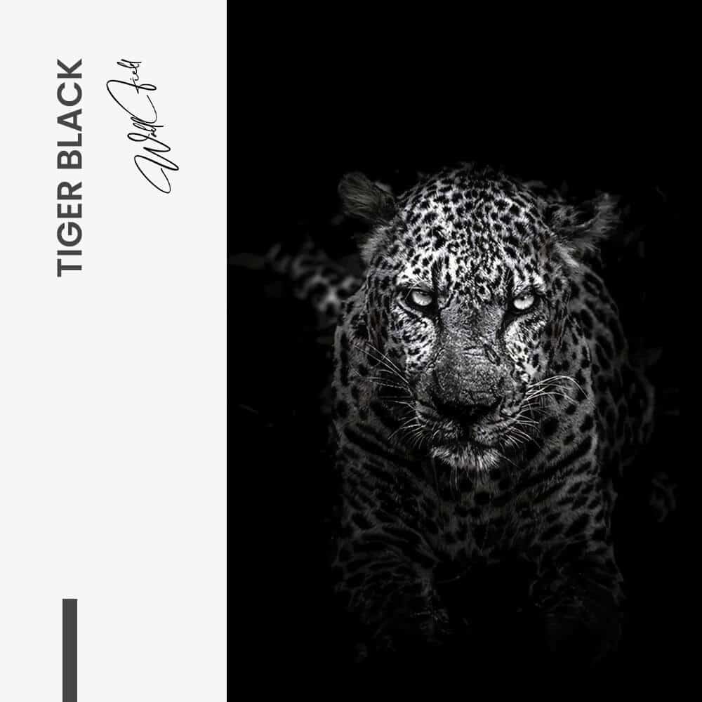 Tiger Black - Glass
