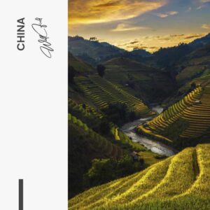 China – Glass