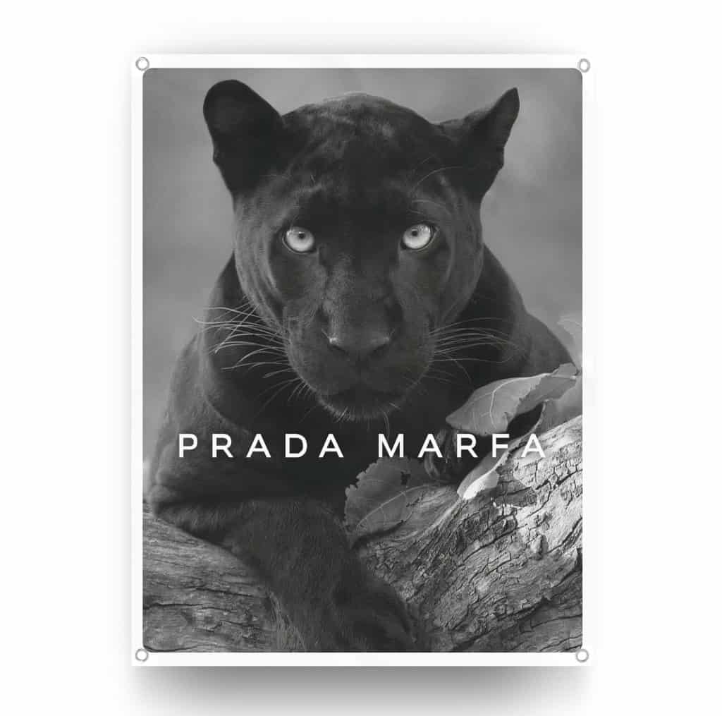 Designer-Panther.jpg
