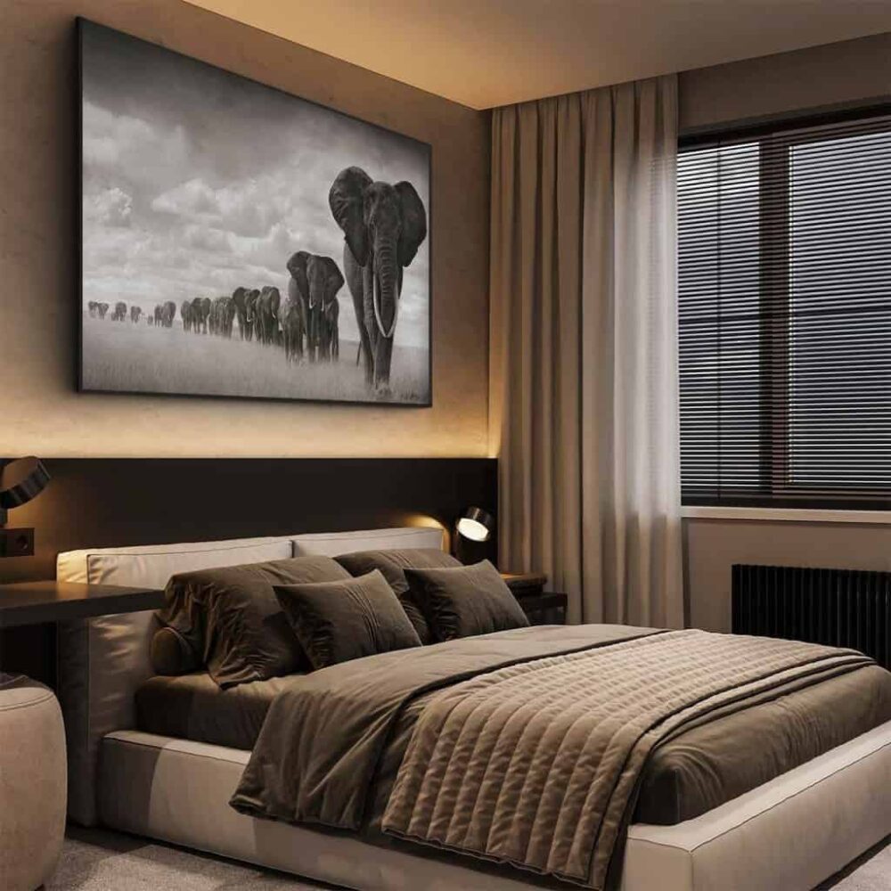“Elephant family”