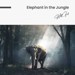 Elephant in the Jungle - tuinposter