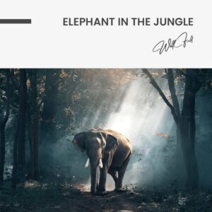 Elephant in the Jungle - Muurcirkel Dibond