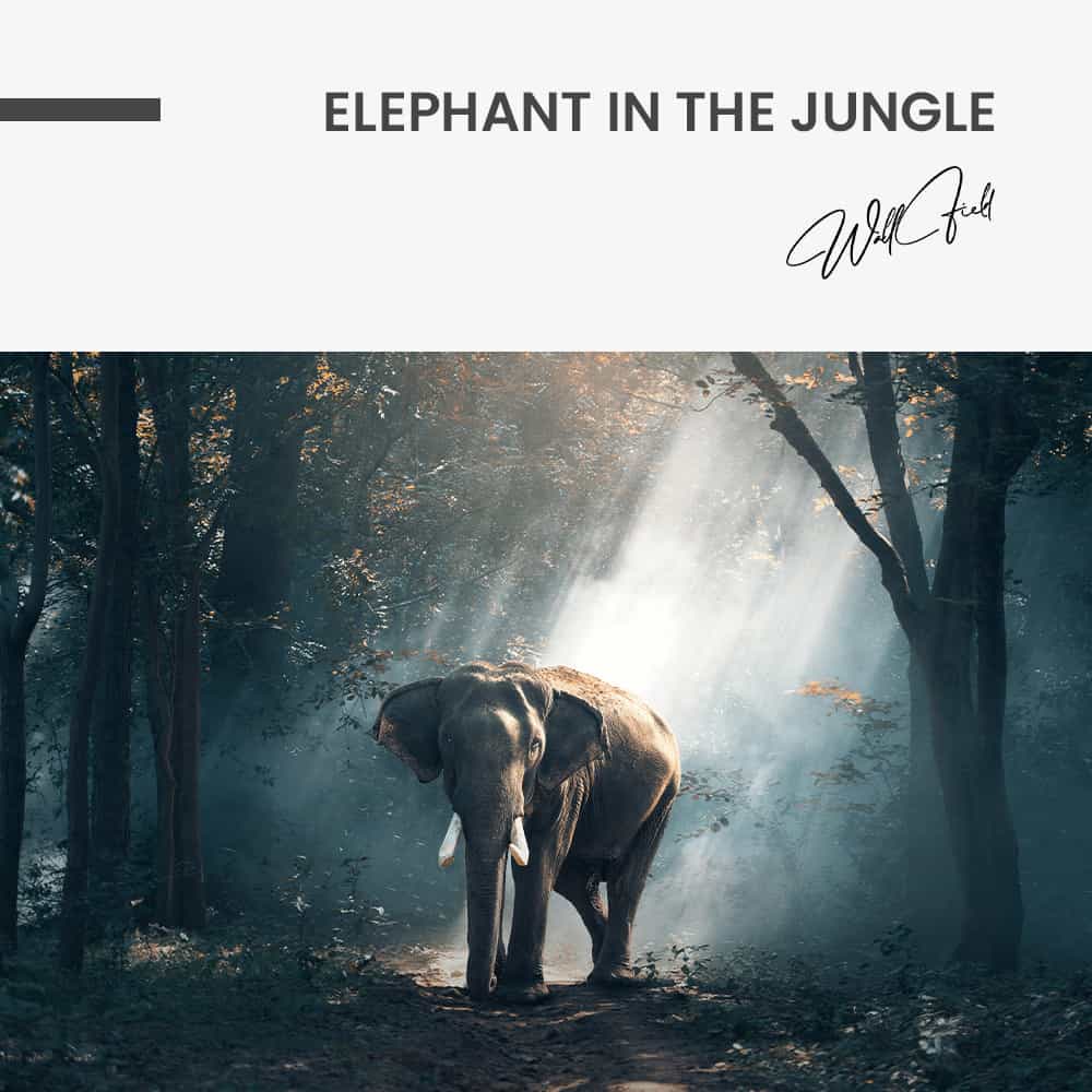 Elephant in the Jungle - Muurcirkel Glass