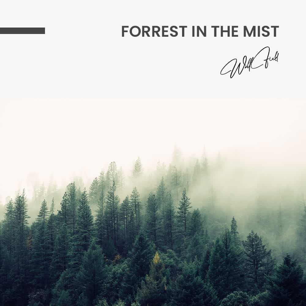 Forrest in the Mist - Muurcirkel Dibond