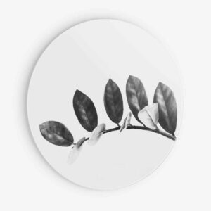Zamioculcas - Muurcirkel Dibond