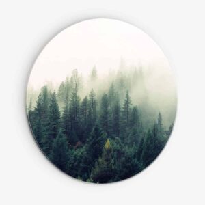 Forrest in the Mist - Muurcirkel Dibond