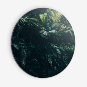 Jungle Plants - Muurcirkel Dibond