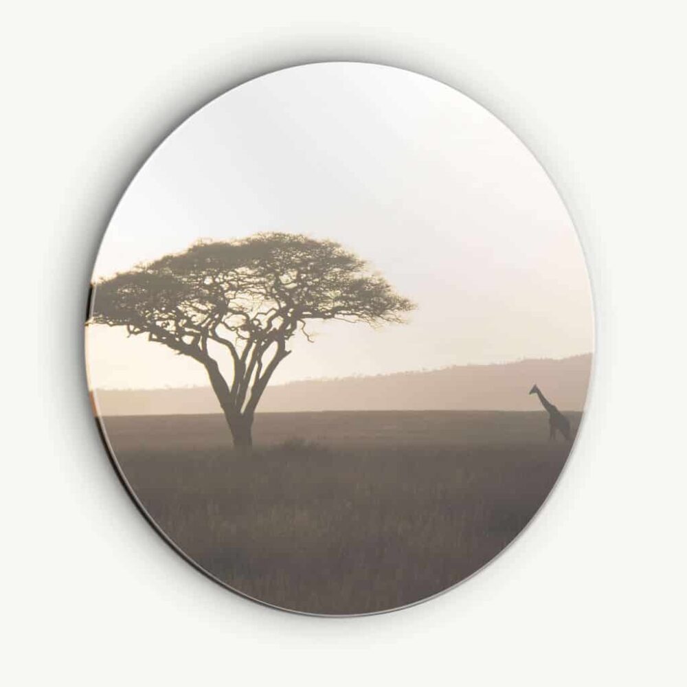 Serengeti - Muurcirkel Dibond