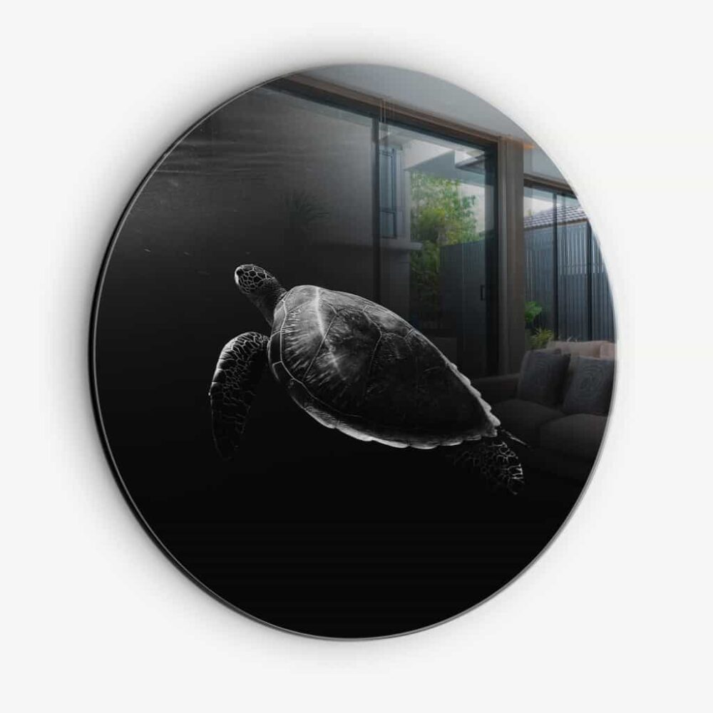 Turtle - Muurcirkel Glass