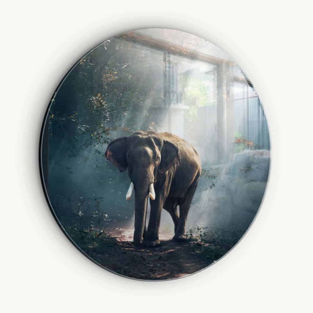 Elephant in the Jungle - Muurcirkel Glass