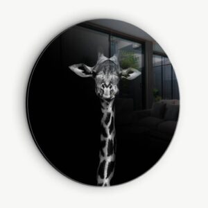 Giraffe - Muurcirkel Glass