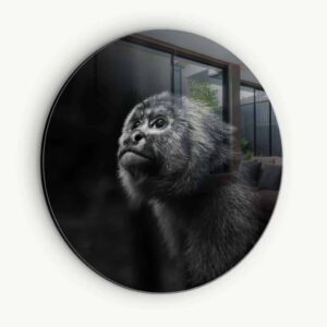 Monkey - Muurcirkel Glass