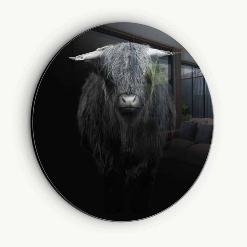 Highland Cow - Muurcirkel Glass