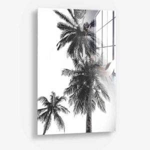 Palm top - Glass