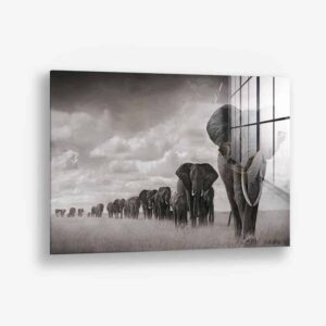 Elephant family - Glass