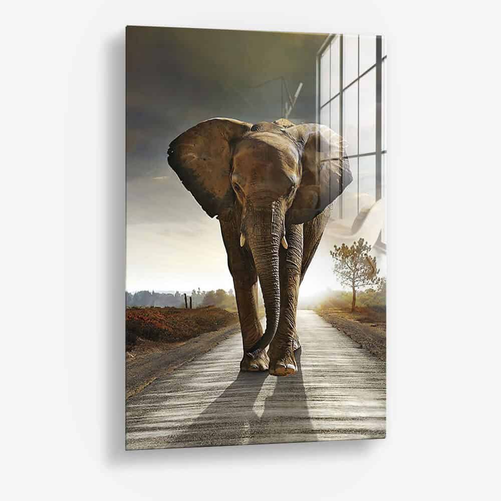 Elephant on the Road - Glass