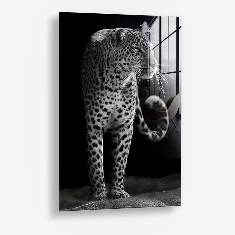 Leopard Black - Glass