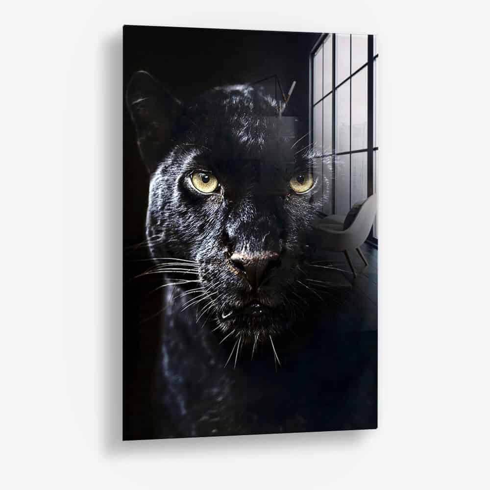 The Jaguar – Glass