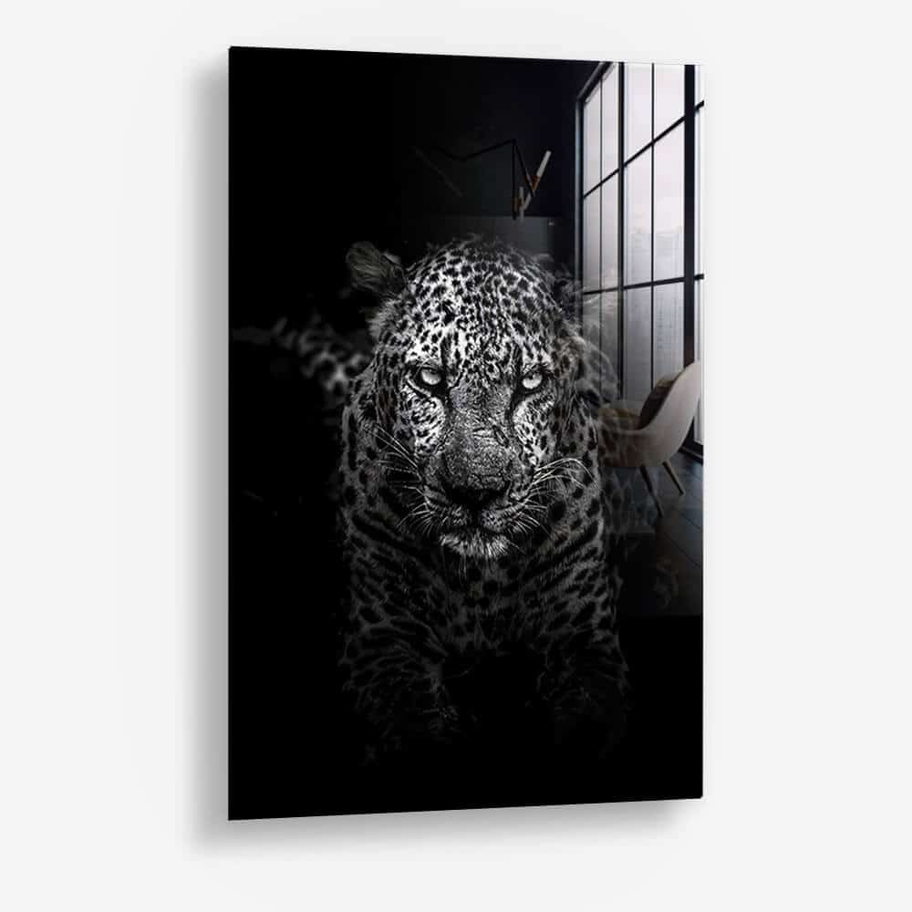 Tiger Black - Glass