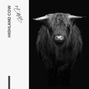Highland Cow - Muurcirkel Glass