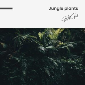 Jungle plants - tuinposter
