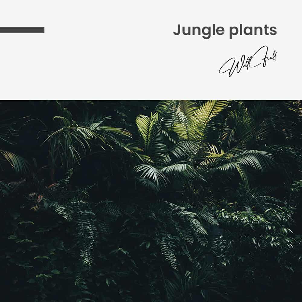 Jungle plants - tuinposter